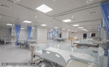 2024医院个人年度工作总结模板5篇