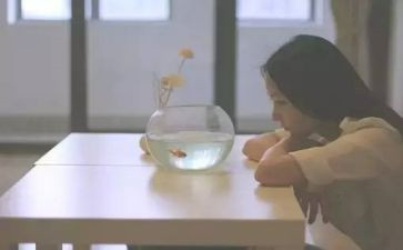 我的我的优点作文6篇