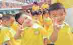 在幼儿园的总结报告参考7篇