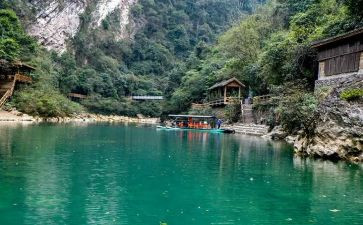 青枫公园的游览作文5篇