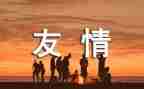 友谊很作文模板8篇