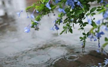 烦人的雨作文优质7篇