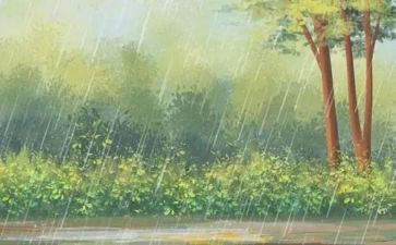 雨课堂心得体会精选8篇