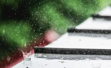 秋天的雨的心得体会模板7篇