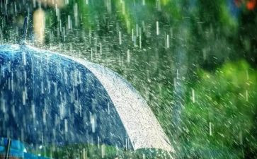 我想雨的作文参考7篇