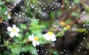 听雨的作文500字8篇