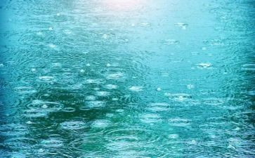 我下雨了作文最新8篇
