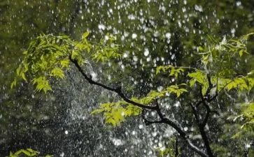 大班科学彩虹雨教案6篇