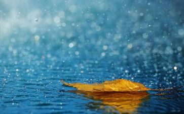 中班教案下雨了教案6篇