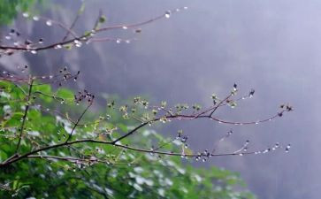 我说雨的作文最新8篇