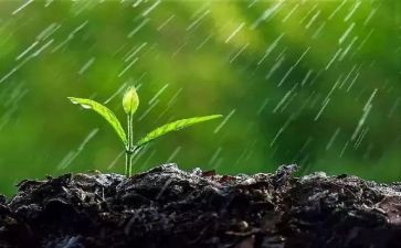 秋天的雨作文800字推荐8篇