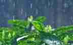 听秋天的雨心得体会模板6篇