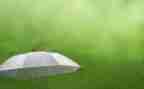 雨的声音作文600字6篇