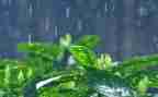 雨的故事读后感6篇