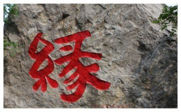 地心缘读后感400字8篇