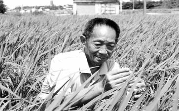 作文袁隆平600字6篇