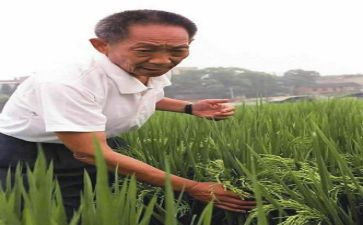 袁隆平袁隆平读后感5篇