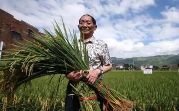 袁隆平心得通用7篇