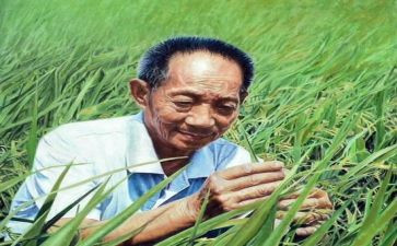 袁隆平,心得体会优秀8篇