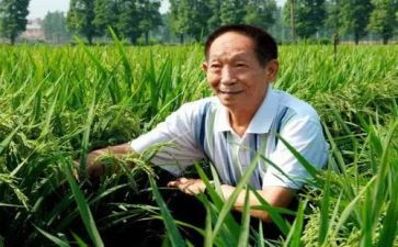 袁隆平的故事小作文8篇