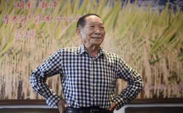 致袁隆平作文500字6篇