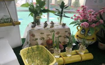 幼儿园培训学习心得体会8篇