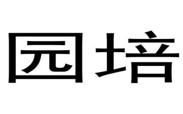 幼儿园培训总结优秀8篇