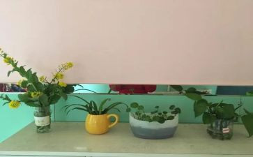 幼儿园培训工作总结范文8篇