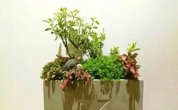 幼儿园艺术教育工作计划精选5篇