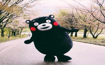 悦读者读后感通用8篇
