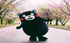 悦读书活动方案优秀5篇