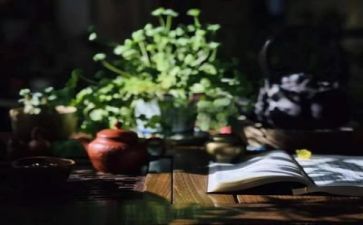 岛阅读心得7篇