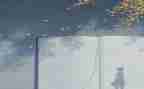 跟阅读有关的作文优质6篇