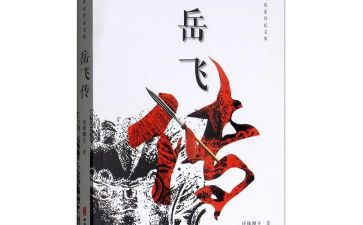 岳飞传读后感800字6篇