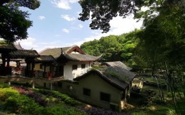 爬岳麓山的作文600字5篇
