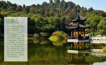 爬岳麓山的作文300字6篇