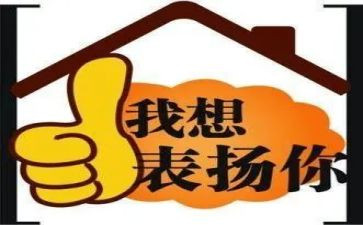 赞扬我作文6篇