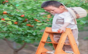 幼儿园小班摘果子教案6篇