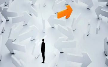 《乡村振兴战略》心得体会范文6篇