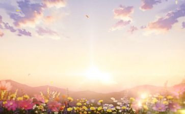 2024年,崭新的我作文最新8篇