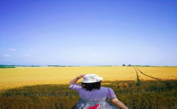 2024年,崭新的我作文模板5篇