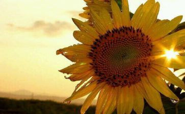 2024年,崭新的我作文参考6篇