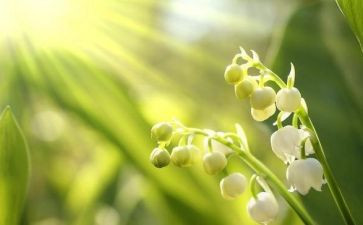 2024年,崭新的我作文5篇