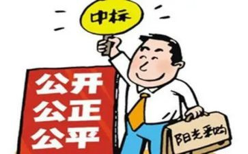 招标代理个人总结6篇