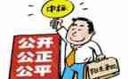 招标代理个人总结6篇