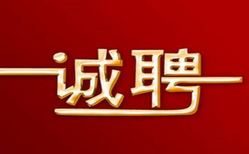 2024年校园招聘工作总结6篇