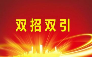 2024年个人招商工作总结最新7篇