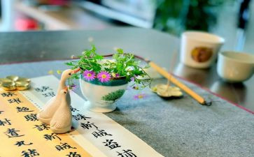 这就是我的作文300字8篇