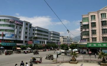 镇项目办述职报告参考5篇