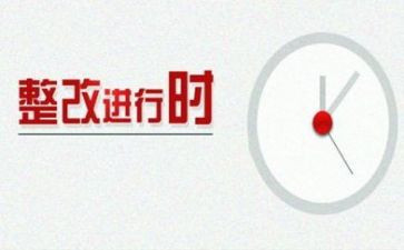 党组织巡察整改报告7篇